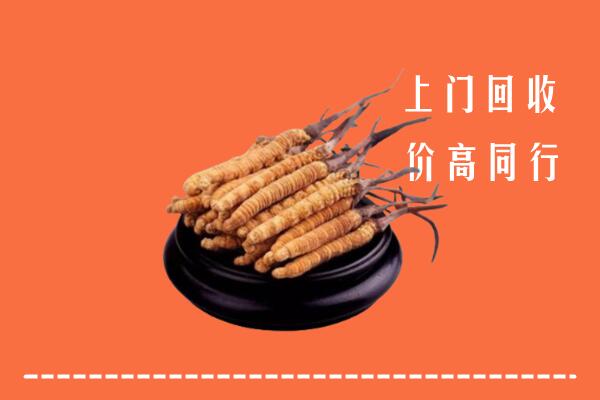 高价求购：汇川区回收散虫草