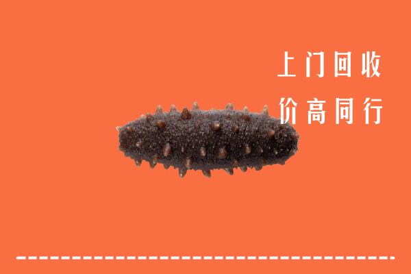 高价求购：汇川区回收海参