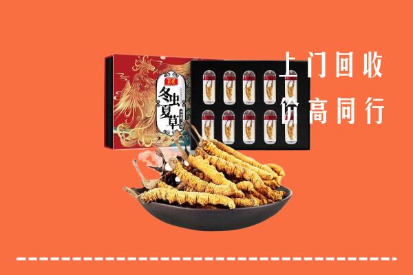 汇川区回收虫草